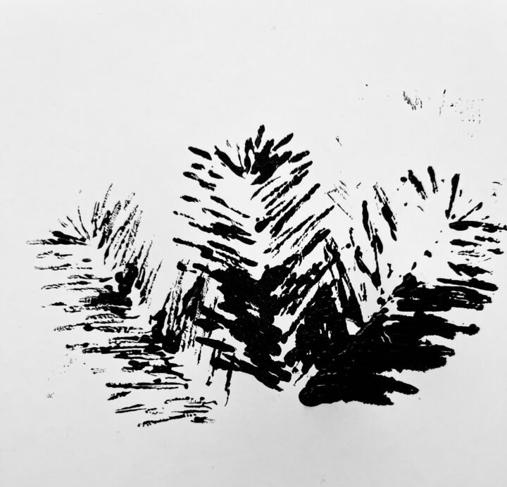 P.A.P.